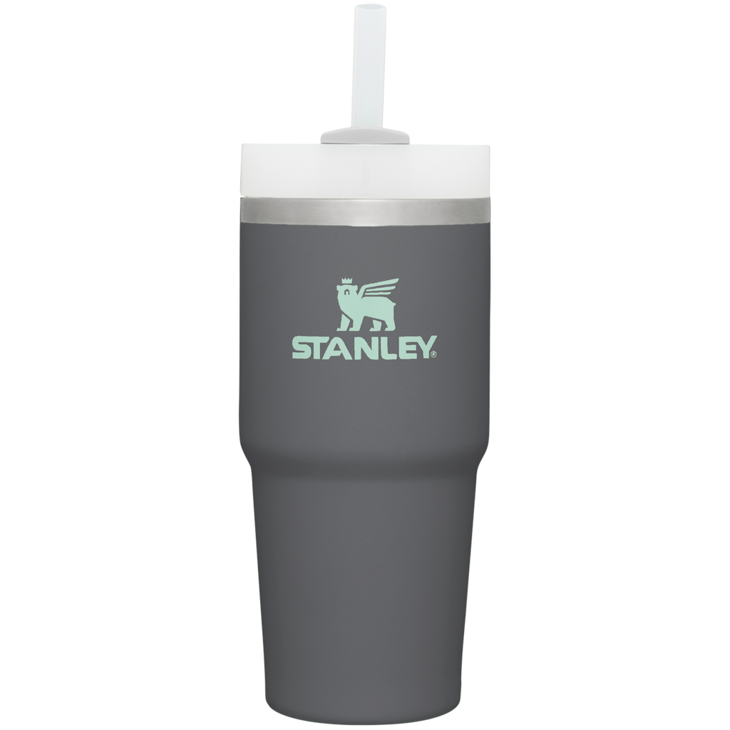 The Quencher H2.0 FlowState™ Tumbler | 14 OZ - Stanley Create
