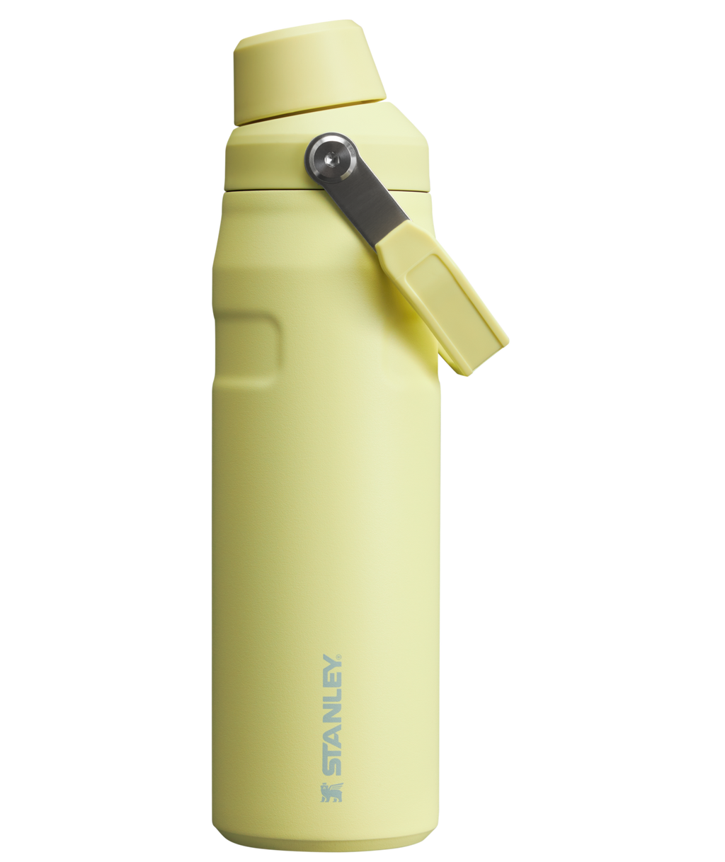 IceFlow™ Bottle with Fast Flow Lid | 24 OZ - Stanley Create