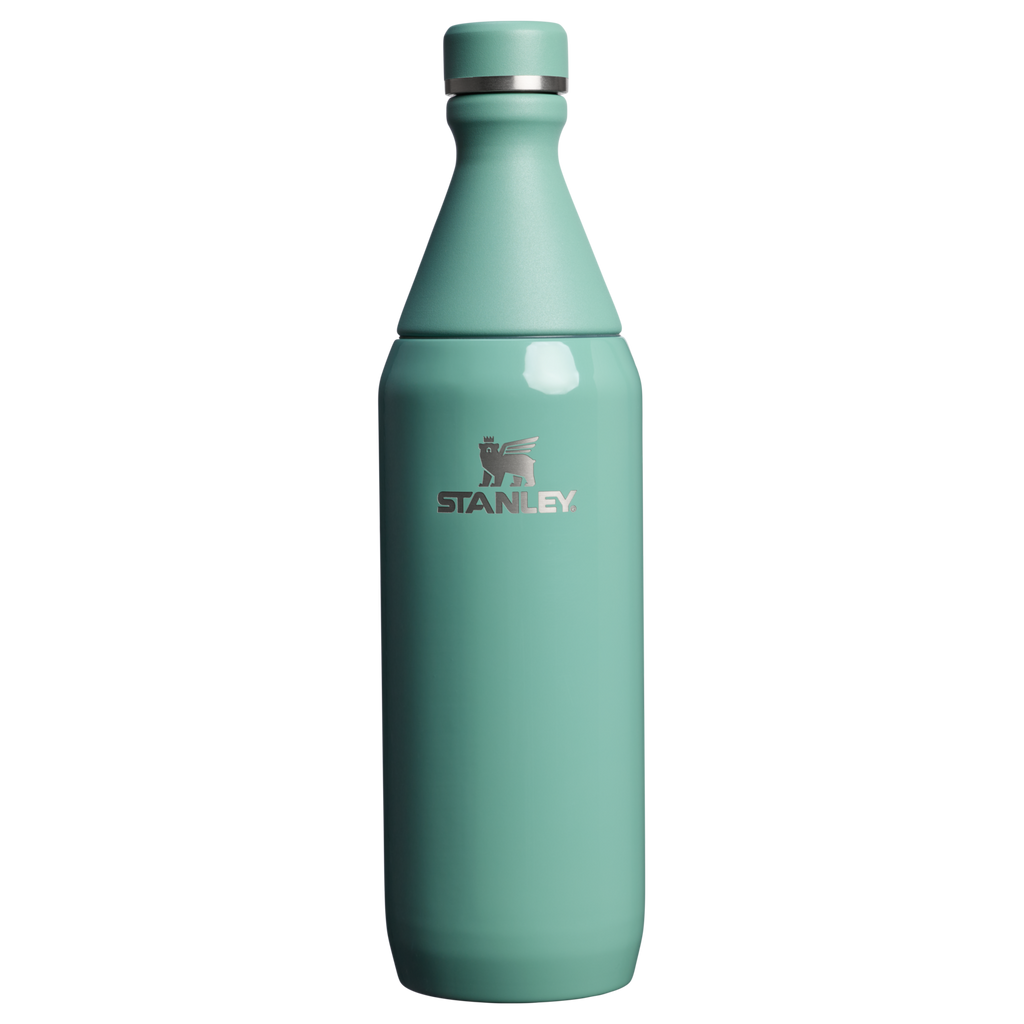 All Day Slim Bottle | 20 OZ - Stanley Create