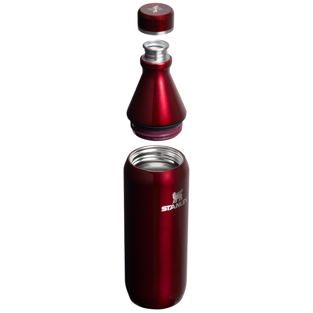 All Day Slim Bottle | 20 OZ - Stanley Create
