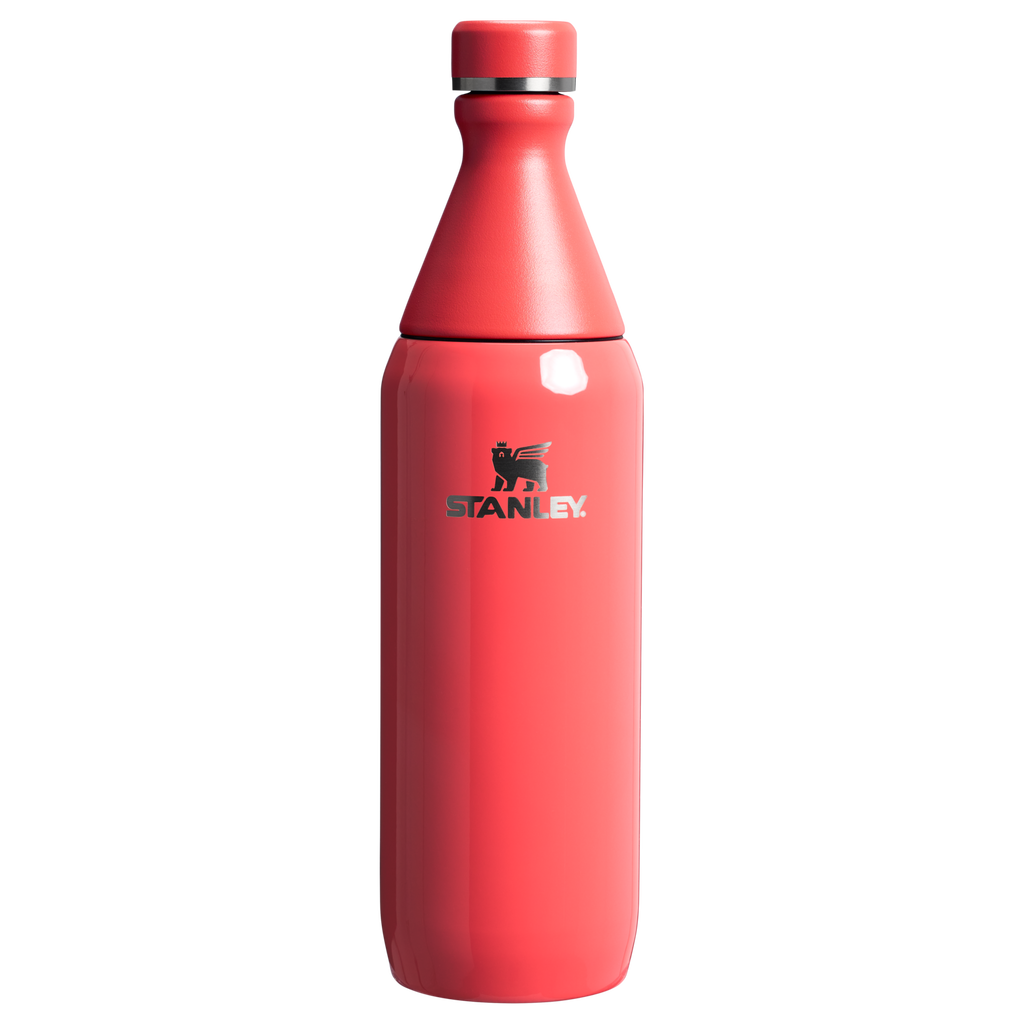 All Day Slim Bottle | 20 OZ - Stanley Create