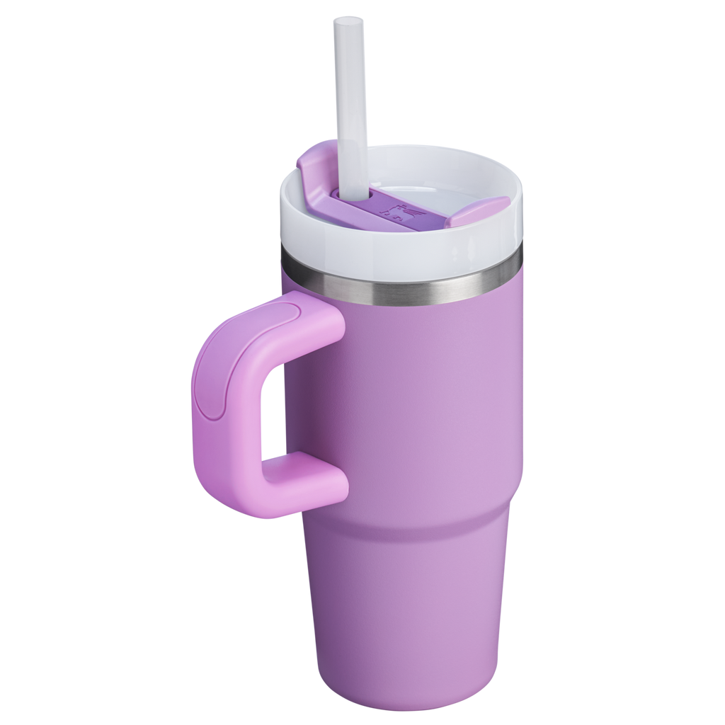 The Quencher H2.O FlowState™ Tumbler | 14 OZ - Stanley Create
