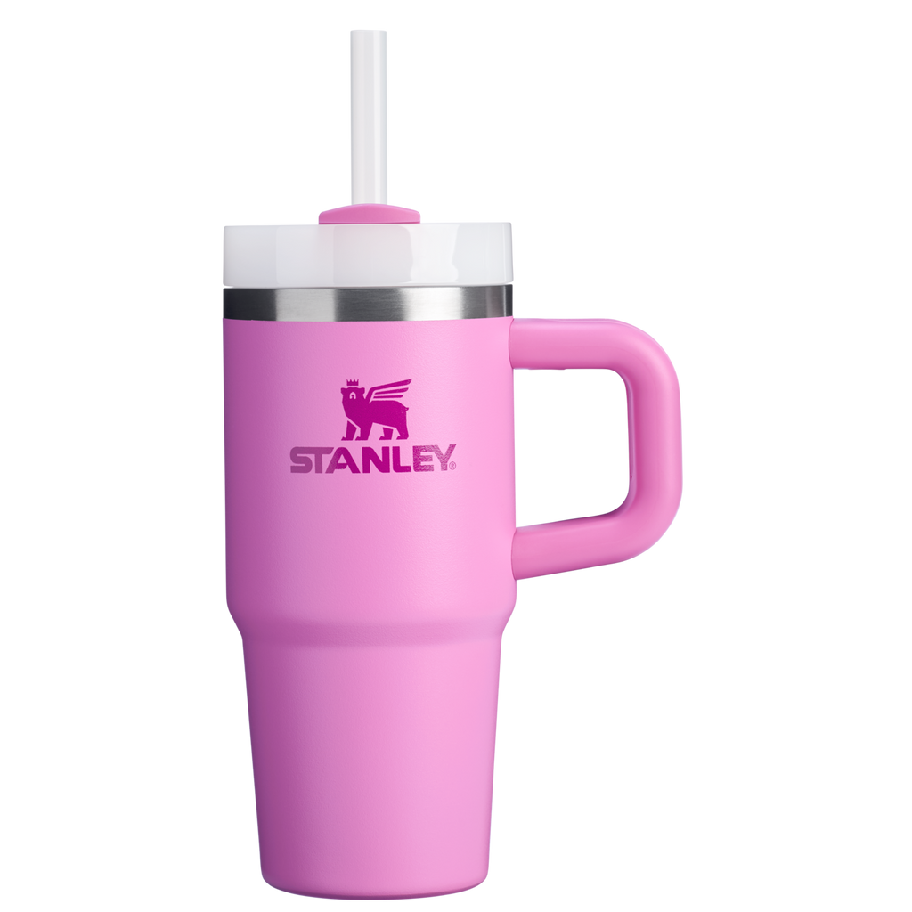 The Quencher H2.O FlowState™ Tumbler | 14 OZ - Stanley Create